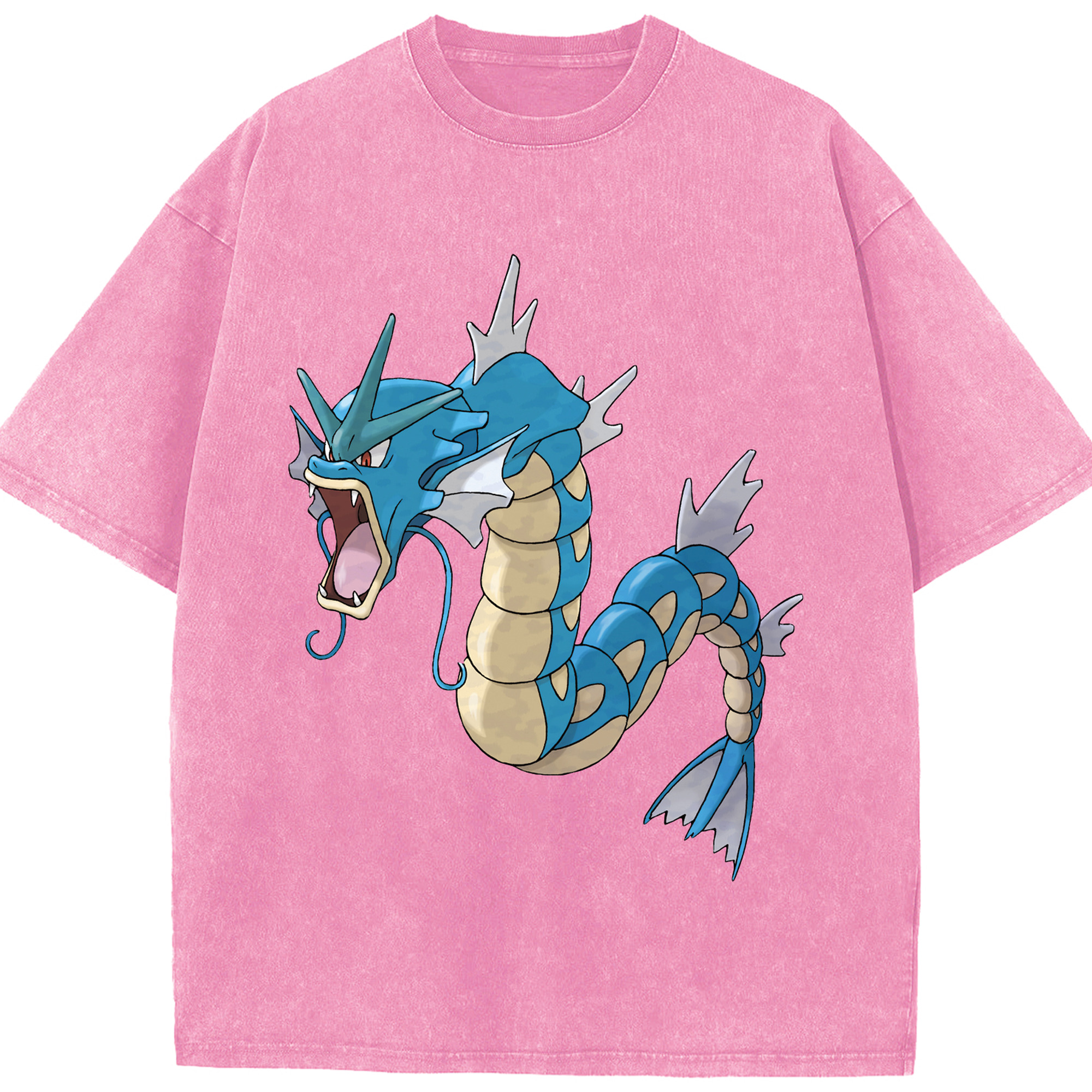 （画像用） ポケットモンスター Pokémon 綿100% ヴィンテージ風 半袖Tシャツ（フロントプリント）